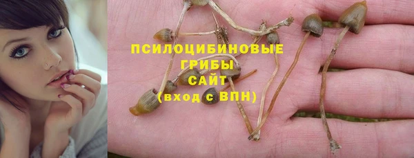 a pvp Гусь-Хрустальный