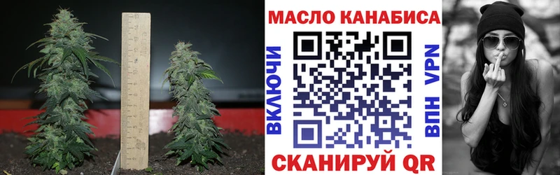 darknet клад  купить   Москва  Дистиллят ТГК концентрат 