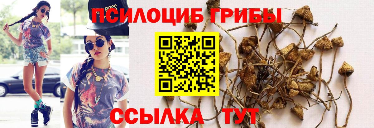 Псилоцибиновые грибы Magic Shrooms Москва