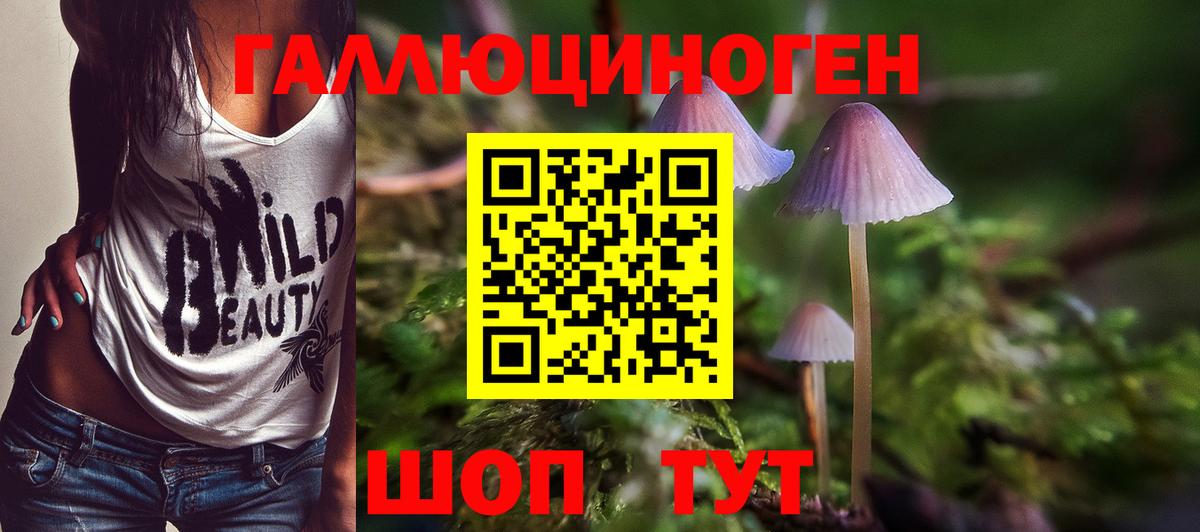 Москва  Псилоцибиновые грибы Magic Shrooms  Вход с VPN 